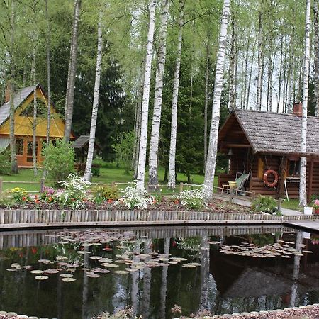 Holiday Home Berzlejas Upesgriva Kültér fotó